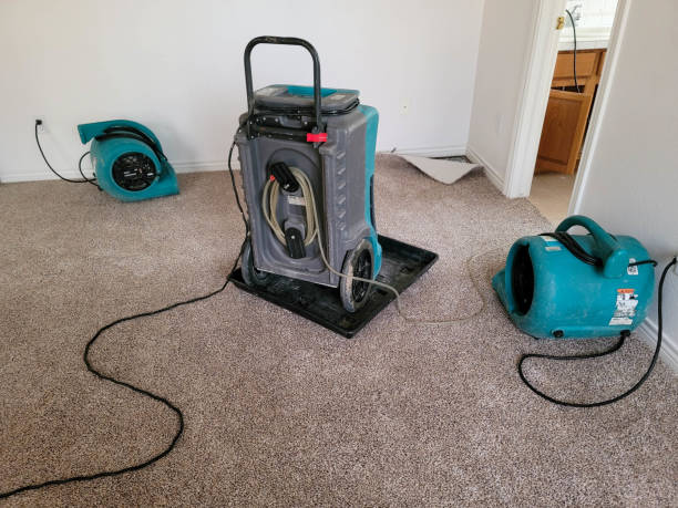 Best Sewage cleanup and water damage restoration  in Tennille, GA