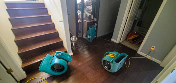 Best Water damage restoration insurance claims  in Tennille, GA