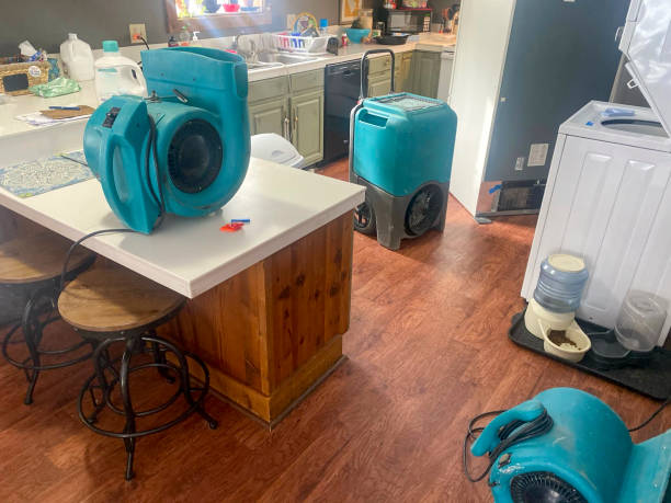 Best Water damage restoration specialists  in Tennille, GA