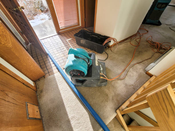 Best Commercial water damage restoration  in Tennille, GA