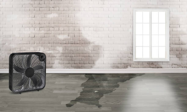 Best 24-hour water damage restoration  in Tennille, GA