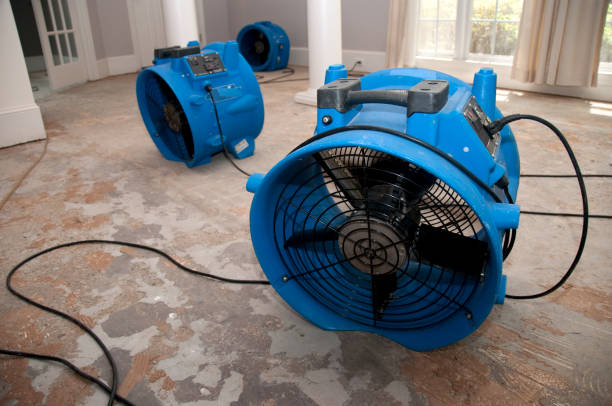 Best Sewage cleanup and water damage restoration  in Tennille, GA