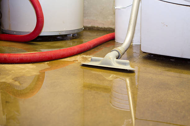 Best Water damage contractors near me  in Tennille, GA