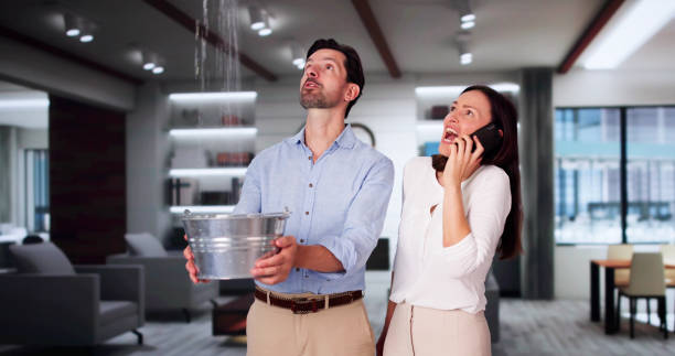 Best Professional water damage repair  in Tennille, GA