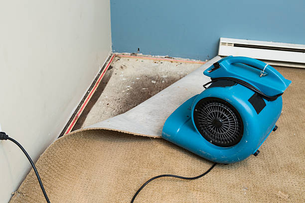 Best 24-hour water damage restoration  in Tennille, GA
